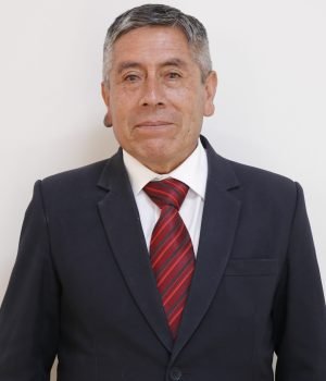 TINOCO HENOSTROZA, Hugo